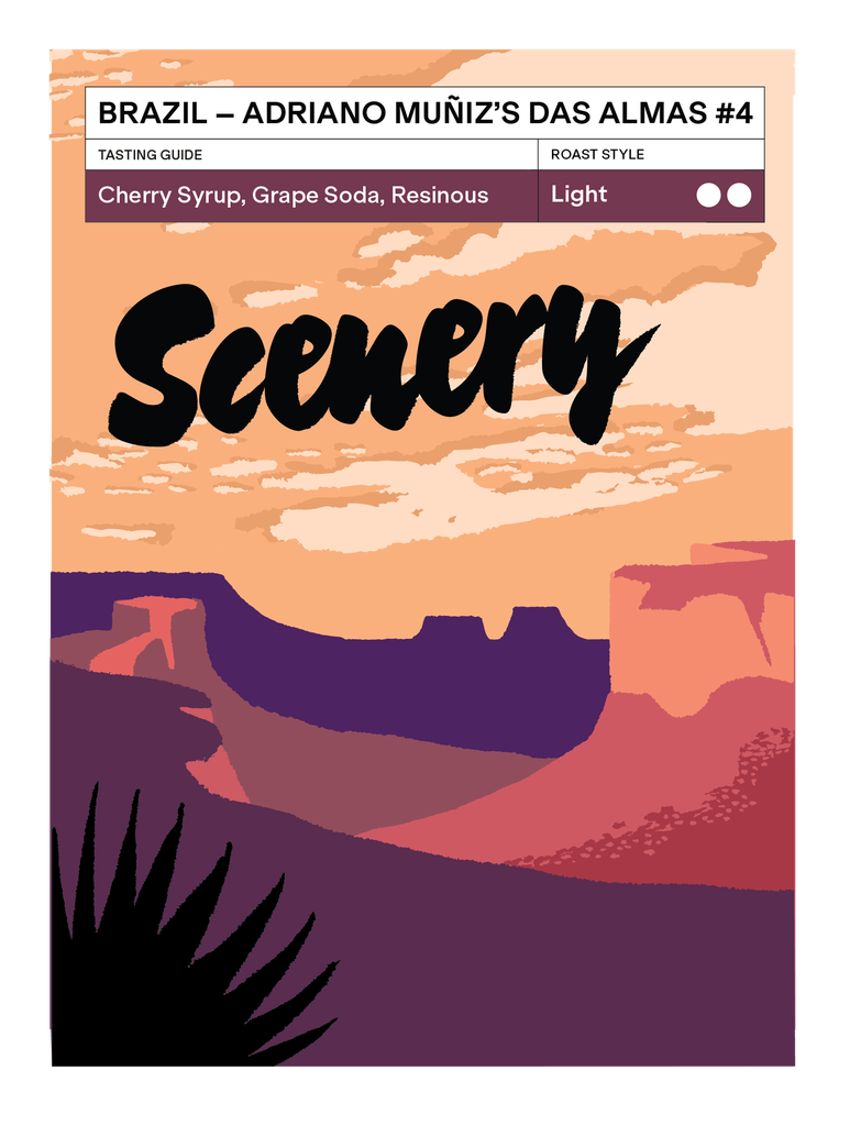 巴西 Das Almas #4（Adriano Muñiz｜25/26）限量