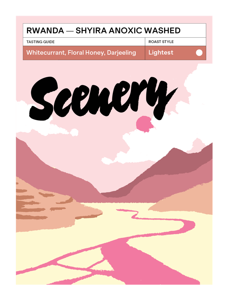 Rwanda Shyira Anoxic Washed [25/26]