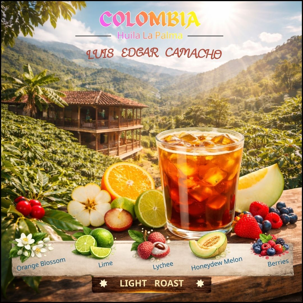 Colombia Huila La Palma Luis Edgar Camacho Traditional Washed