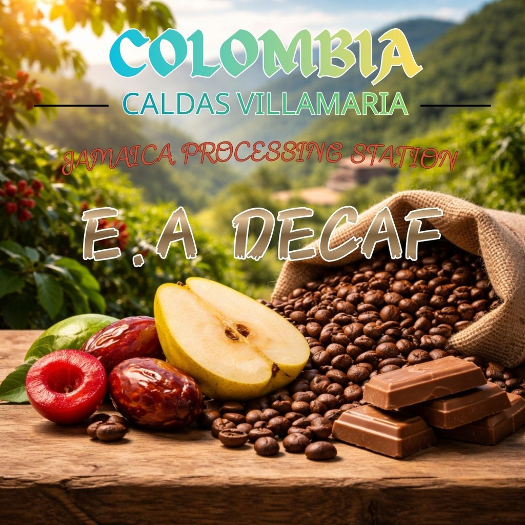 Colombia Caldas Villamaria E.A Decaf (Coffee Beans(100g))