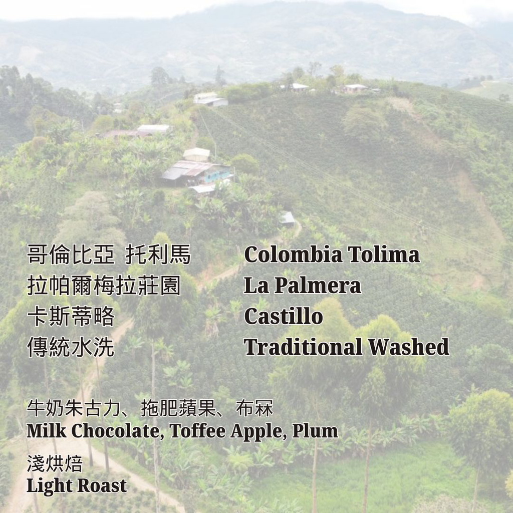 Colombia Tolima La Palmera Gleidys Ramírez Traditional Washed