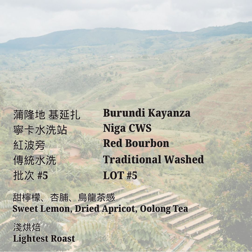 蒲隆地 基延扎 寧卡水洗站 紅波旁 傳統水洗 批次#5