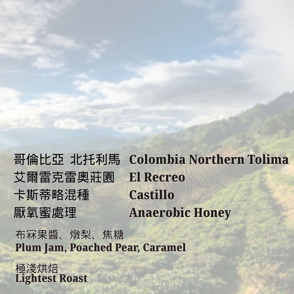 哥倫比亞 北托利馬 艾爾雷克雷奧 卡斯蒂略 厭氧蜜處理