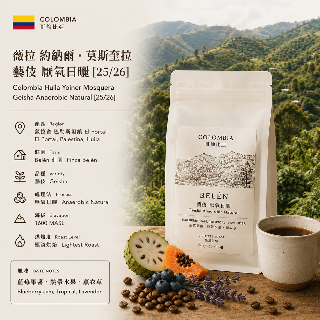 哥倫比亞 薇拉 約納爾・莫斯奎拉 藝伎 厭氧日曬