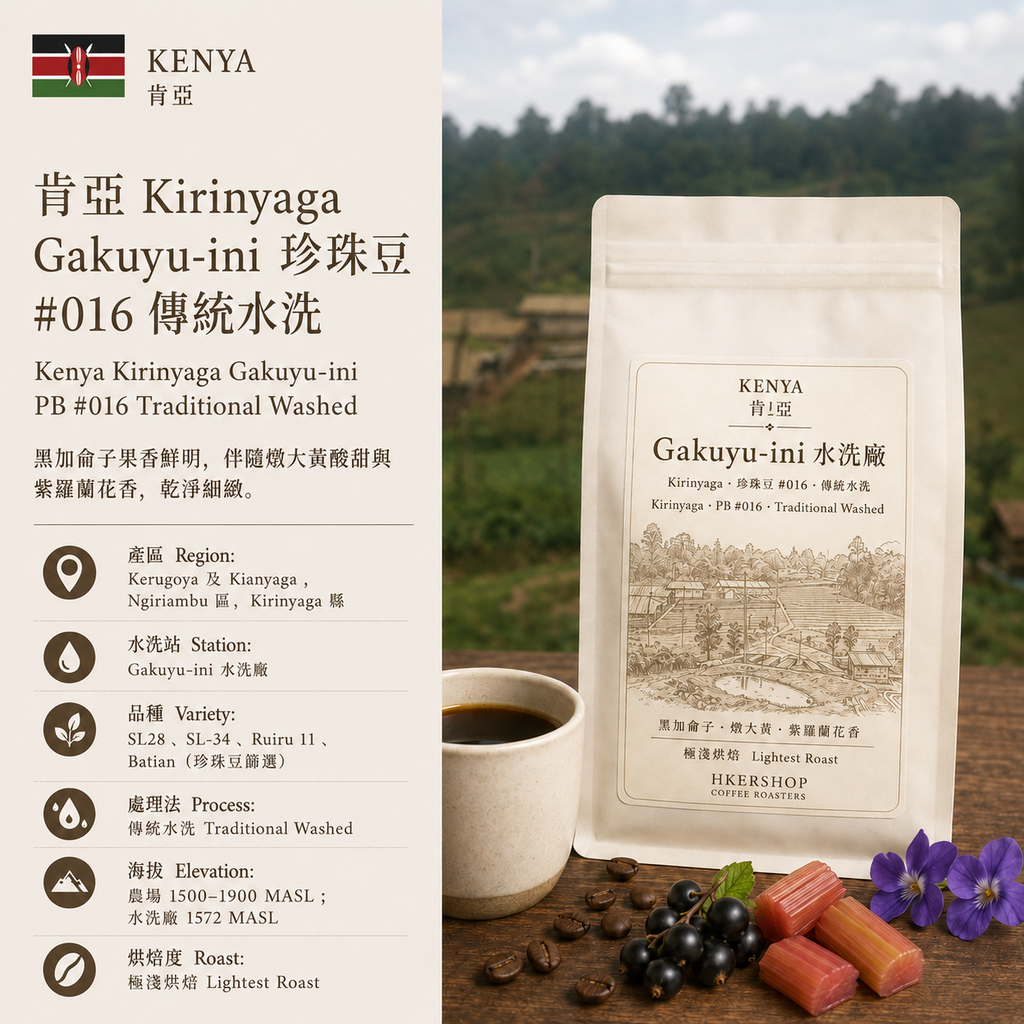 肯亞 Kirinyaga Gakuyu-ini  #016 傳統水洗