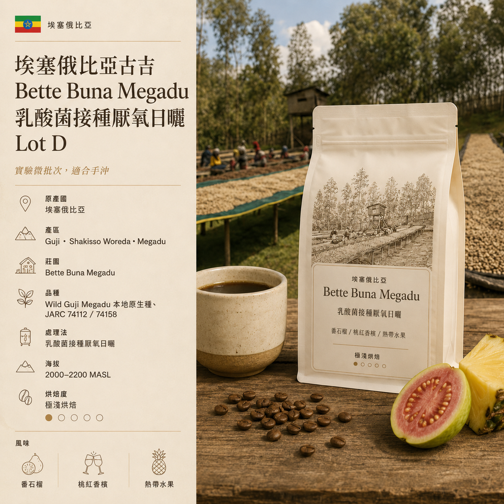 Ethiopia Guji Bette Buna Lacto Inoculated Anaerobic Natural Lot D