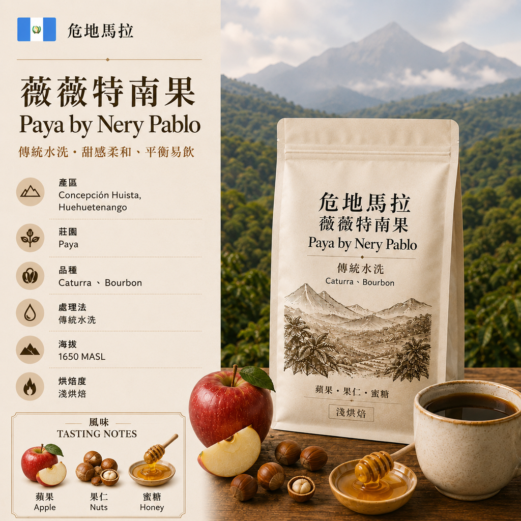 Guatemala Huehuetenango Paya by Nery Pablo Traditional Washed [25/26] (Coffee Beans(100g))