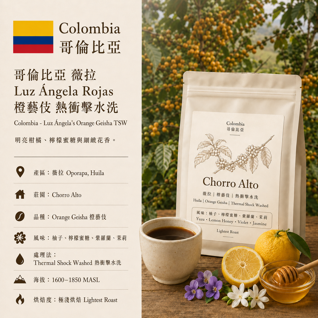 哥倫比亞 薇拉 Luz Ángela Rojas 橙藝伎 熱衝擊水洗
