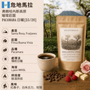 危地馬拉 弗賴哈內斯高原 璀璨莊園 Pacamara 日曬 [25/26]