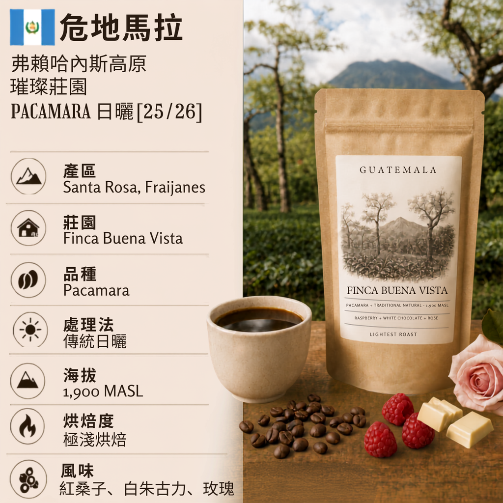 危地馬拉 弗賴哈內斯高原 璀璨莊園 Pacamara 日曬 [25/26]