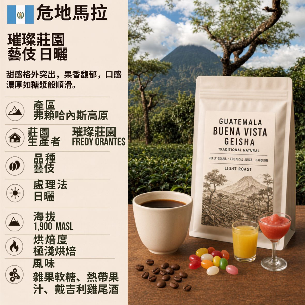 危地馬拉 弗賴哈內斯高原  璀璨莊園  藝伎 傳統日曬