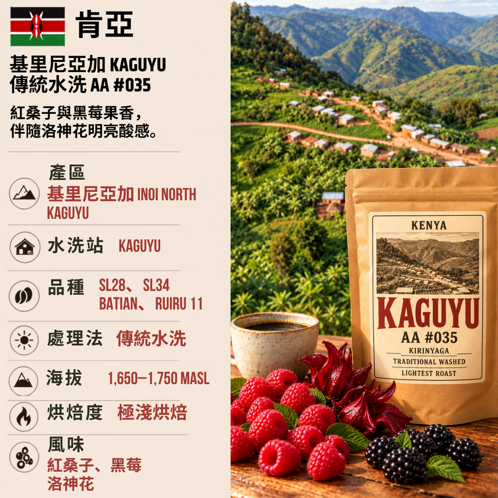 Kenya Kirinyaga Kaguyu Traditional Washed AA  #035 (Coffee Beans(100g))