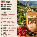 肯亞 基里尼亞加 Kaguyu 水洗站傳統水洗AA #035