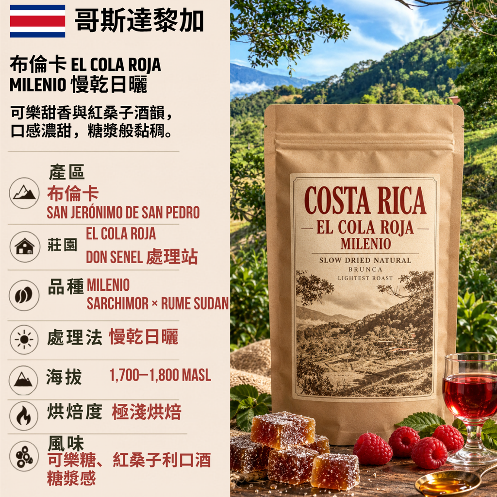 Costa Rica Brunca El Cola Roja Milenio Slow Dried Natural (Coffee Beans(100g))