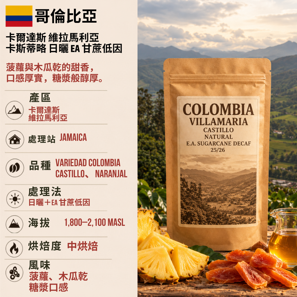 哥倫比亞 卡爾達斯 維拉馬利亞 卡斯蒂略 日曬 EA 甘蔗低因 25/26