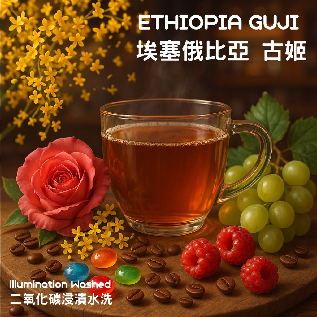 Hkershop 埃塞俄比亞古姬二氧化碳浸蹟水洗 (咖啡豆(100克))