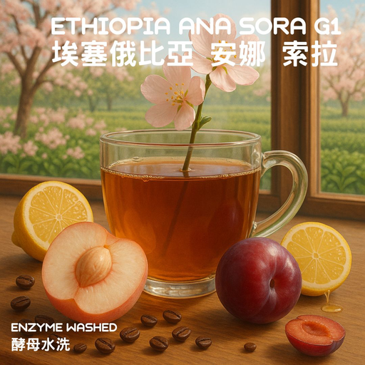 Hkershop 埃塞俄比亞安娜索拉酵母水洗