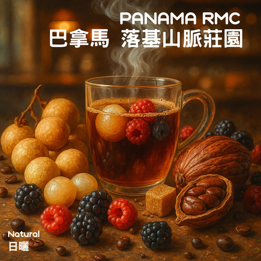 Hkershop 巴拿馬落基山脈莊園日曬